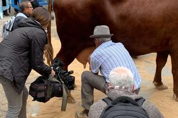 Los Llanos celebra el día grande de sus fiestas (Foto TA)